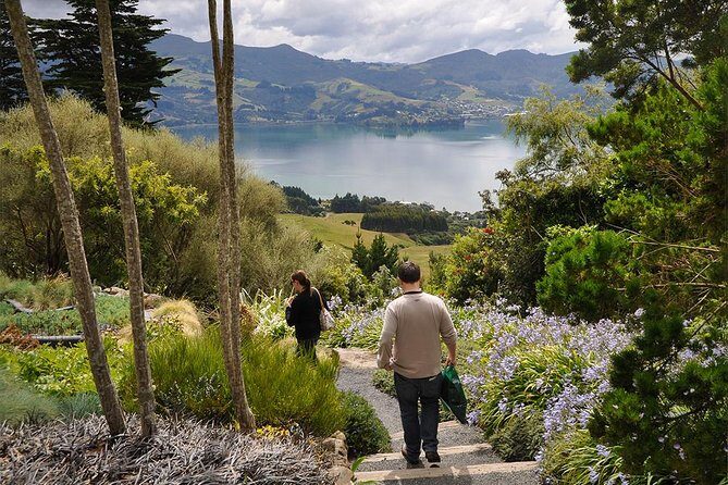 Iconic Shore Excursion: Iconic Larnach Castle Tour - Detailed Breakdown of the Itinerary