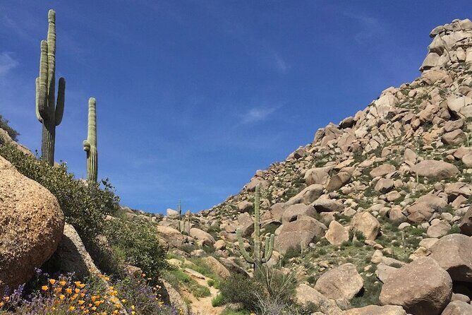 Iconic Tom's Thumb Guided Hiking Adventure in Scottsdale, Arizona - The Itinerary in Detail