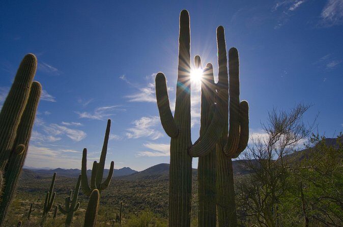 Iconic Tom's Thumb Guided Hiking Adventure in Scottsdale, Arizona - Additional Stops and Related Experiences