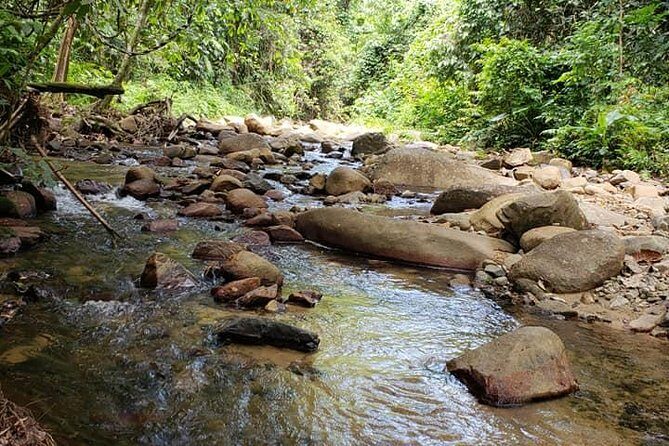 iconic waterfall tour - Authentic Experiences and Positive Feedback