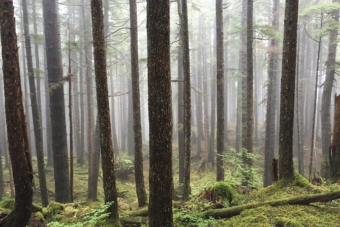 Icy Strait Village Tour and Crab Feast - Who Will Love This Tour?