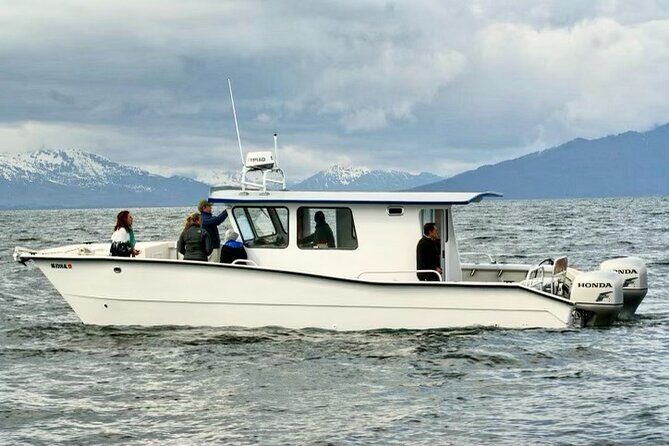 Icy Strait Whale & Wildlife Endeavor - FAQ