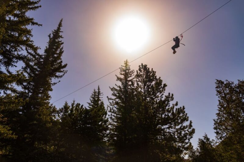 Idaho Springs: Clear Creek Ziplining Experience - The Value of This Experience