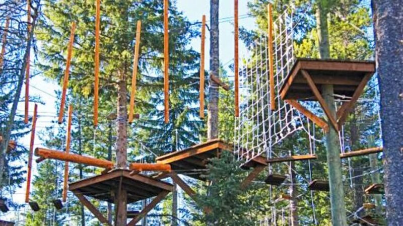 Idaho Springs: Ropes Challenge Course Ticket - Who Will Love This Experience?