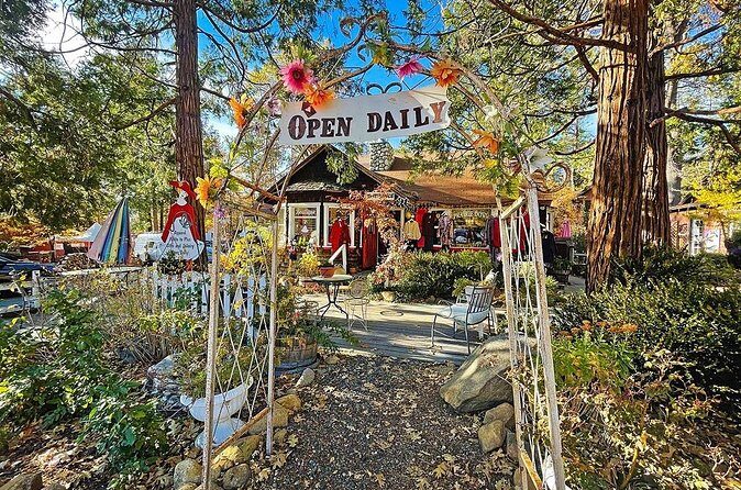 Idyllwild Day Tour - Who Is This Tour Best For?