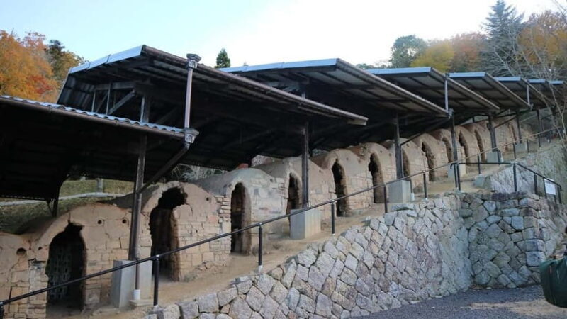 IGA Nagatanien: Guided Tour with IGA Rice Balls Tasting - Why This Tour Is Worth Considering