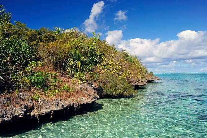 Ile aux Aigrettes - Tea Route - Gris Gris Private Guided Tour (Min. 2 persons) - Exploring Mauritius’ Hidden Gems: The Ile aux Aigrettes - Tea Route - Gris Gris Private Guided Tour
