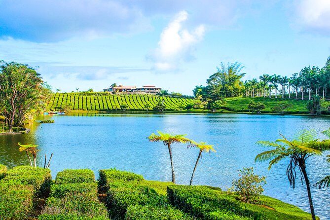 Ile aux Aigrettes - Tea Route - Gris Gris Private Guided Tour (Min. 2 persons) - The Bottom Line: Is This Tour Worth It?