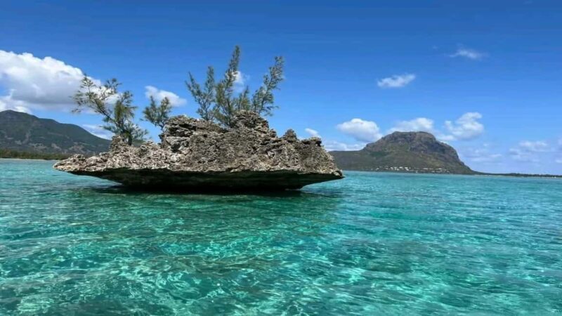 ile aux Benitier: Tour with dolphin watch & lunch - An Authentic Mauritius Experience on the Water