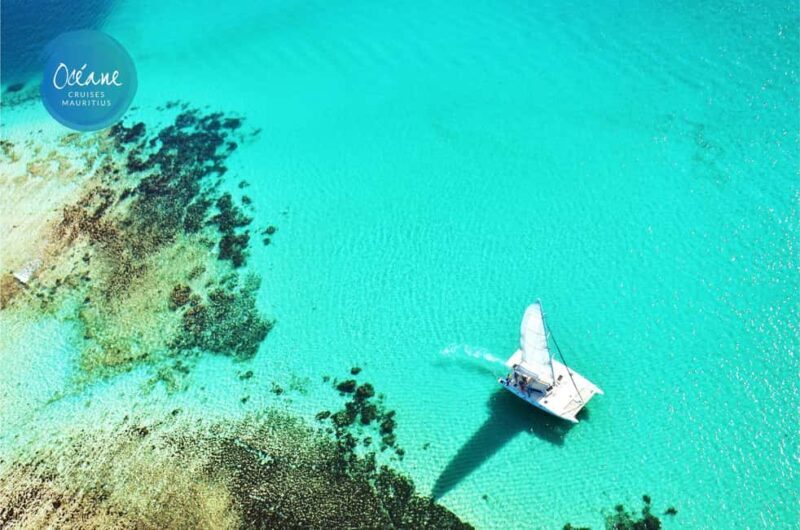 Île aux Cerfs : Private Catamaran Cruise with Gourmet Lunch - The Value and Who Will Love This Experience