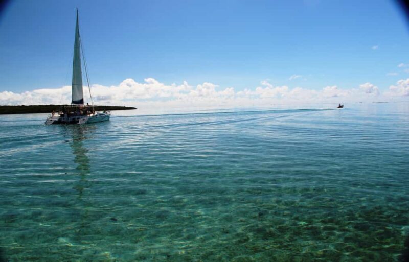 Ile aux Cerfs: The very best day by catamaran. - Return Journey and Overall Atmosphere
