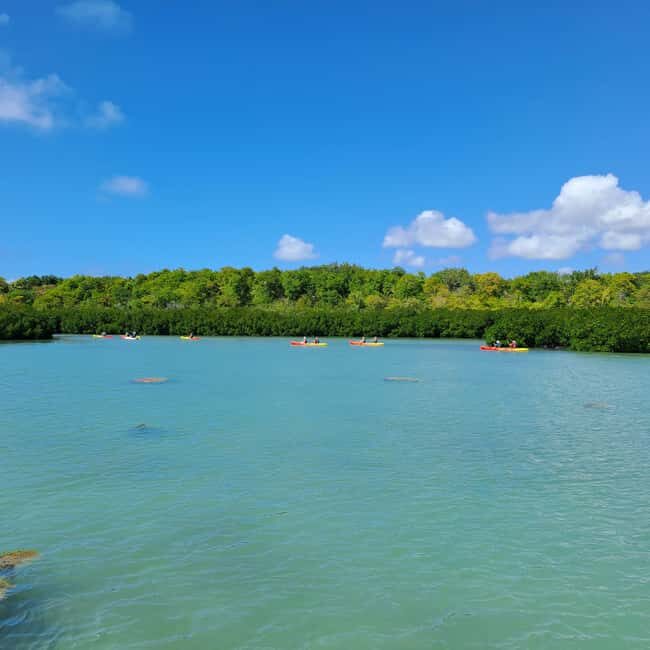 Ile d Ambre Kayaking - Key Points