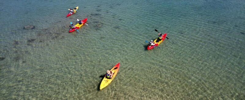 Ile d Ambre Kayaking - Is It Worth the Price?