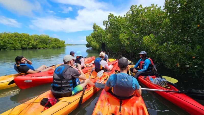 Ile d Ambre Kayaking - Practical Tips for Participants