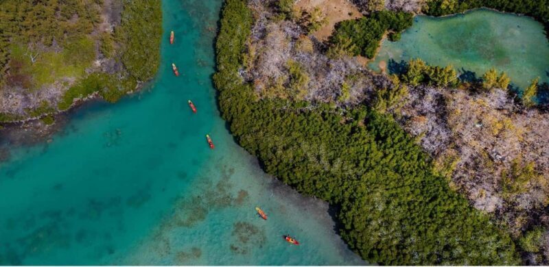 Ile d Ambre Kayaking - FAQ: Your Questions Answered