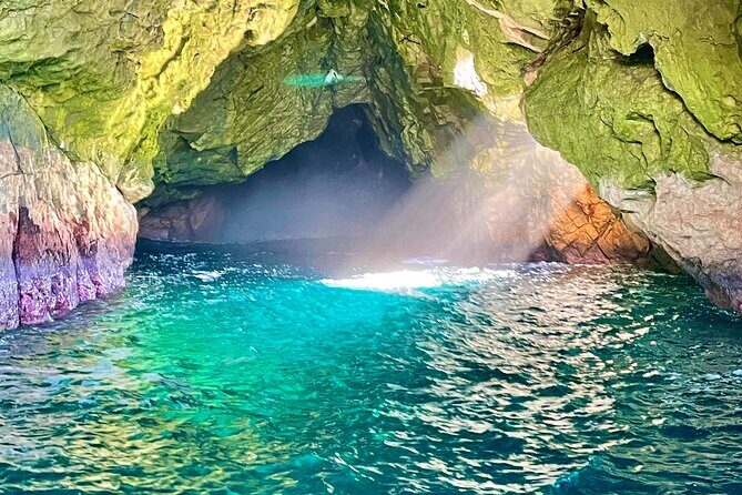 Ile Des Phoques and Maria Island Cruise and Walk Day Tour with Lunch - An In-Depth Look at the Itinerary