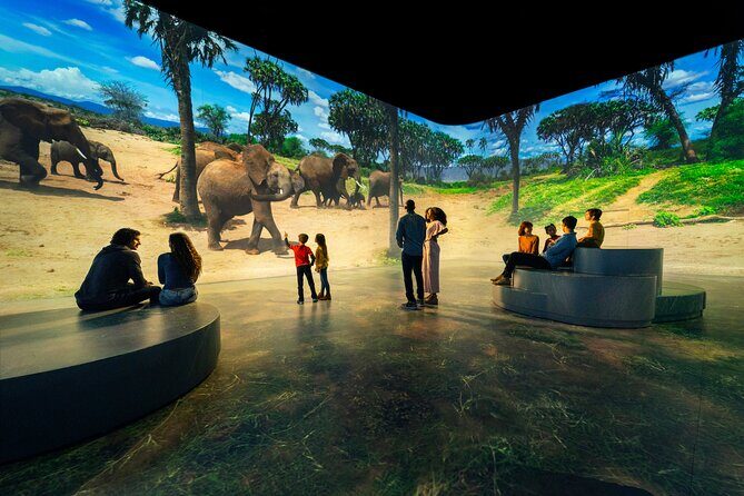 Illuminarium Las Vegas - The Experience Itself: A Closer Look