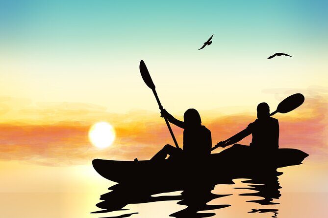 Illuminated Night Kayaking at the Elysian Resort - The Experience in Detail: Why It’s Worth Your Time