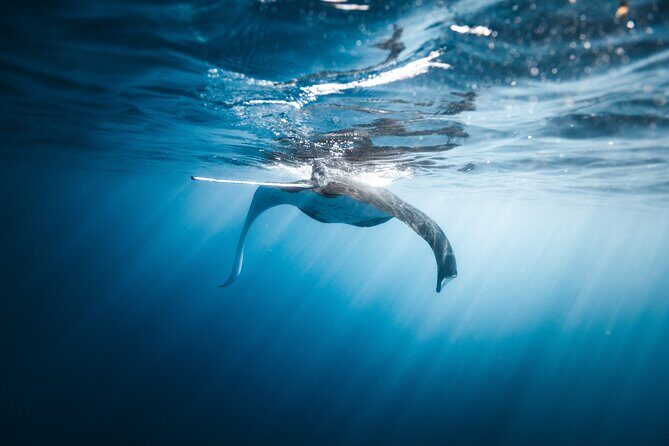 'Imiloa Express N Pali Snorkel Tour - Value and Pricing: Is It Worth It?