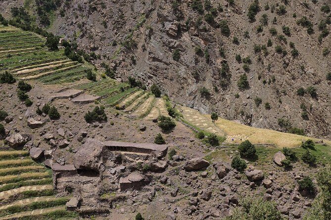 Imlil Private Day Trip To Toubkal Valley with Lunch - Who Is This Tour Best For?