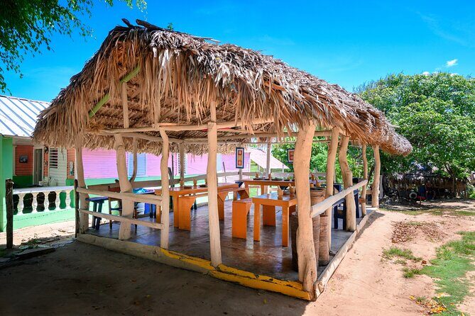 Immerse in Dominican Culture: Private Community Tour - What You Can Expect on the Tour