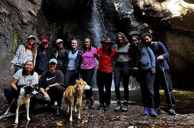 Immerse in the Nature: Deep Connection through Forest Bathing - Who Should Consider This Experience?