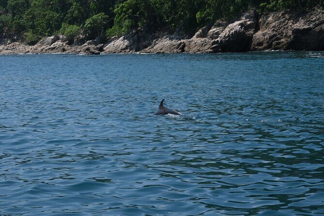 Enjoy paradise: Hidden Beach Snorkeling Adventure - Authenticity and Reviews from Past Travelers