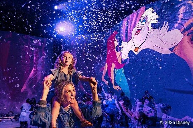 Immersive Disney Animation - FAQ