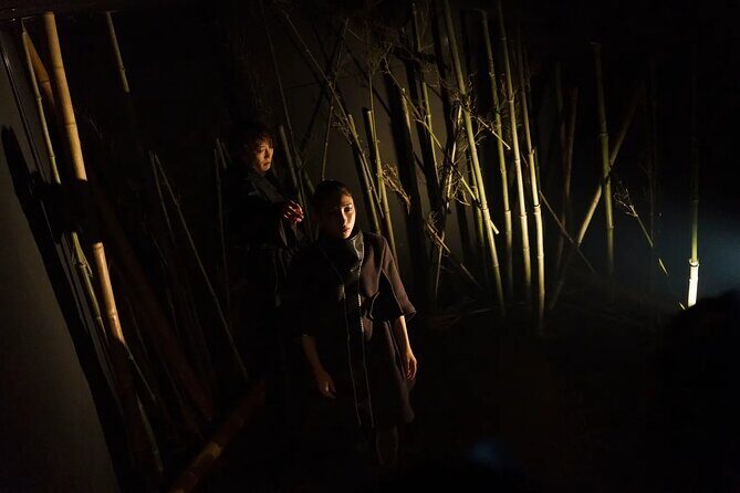 Immersive Experience Anemoia Tokyo Ticket - A Closer Look at the Experience
