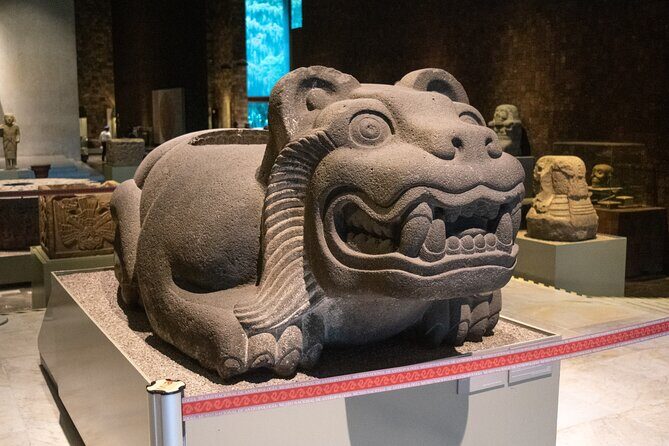Immersive Experience at the Anthropology Museum - Final Thoughts