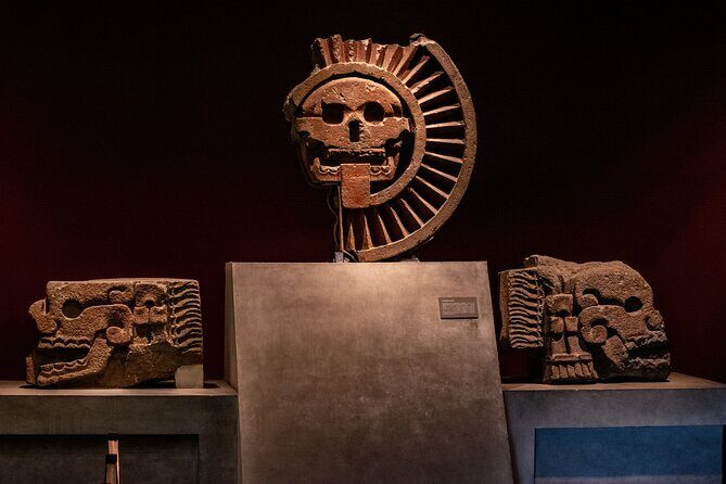 Immersive Experience at the Anthropology Museum - FAQ