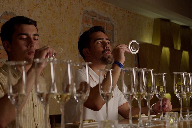 Immersive Experience & Tequila Tasting in Puerto Vallarta - What to Expect from the Tour