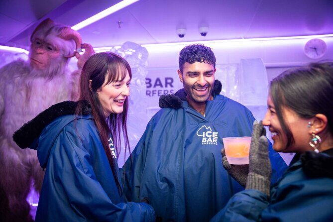 Immersive Ice Bar Experience and Drinks - Value and Cost Analysis