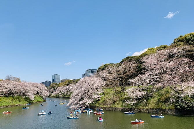 Imperial Palace and Heritage of Edo Castle Private Tour - Why Choose This Tour?