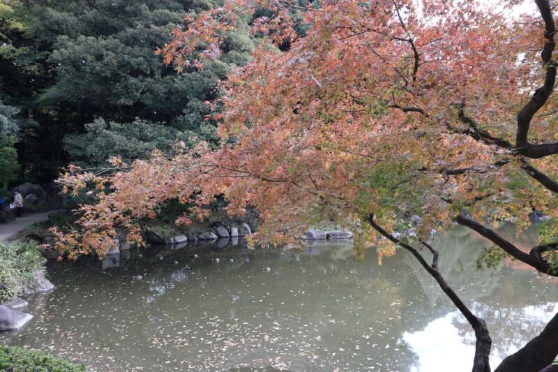 Imperial Palace Tour: Discover Samurai History with a Guide - The Value Proposition: Is It Worth It?