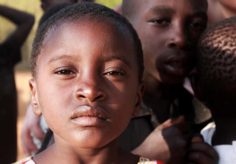 Impressive Tanzania, 7 Day Small Group Lodge Safari - The Sum Up