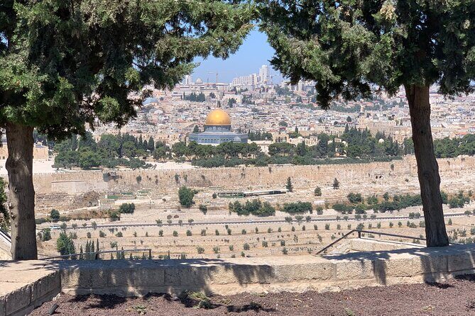 In The Footsteps of Jesus Day Tour - Dguide Self Guiding App - Final Thoughts: Is This Tour for You?