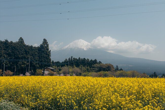Inaka Excursions | Escape the Cities and find your peace!! - Exploring the Details of Inaka Excursions