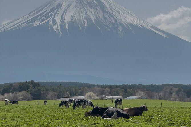 Inaka Excursions | Escape the Cities and find your peace!! - Final Thoughts on Value