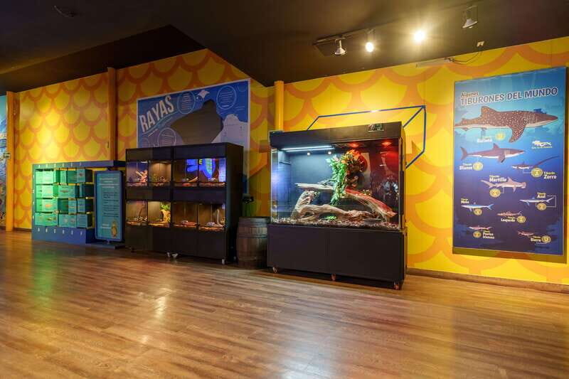 Inbursa Aquarium Entry Ticket with VR Option - What Is the Inbursa Aquarium Experience?
