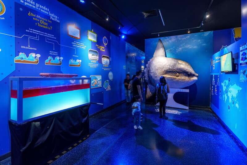 Inbursa Aquarium Entry Ticket with VR Option - Interactive Aquarium: Making Learning Fun