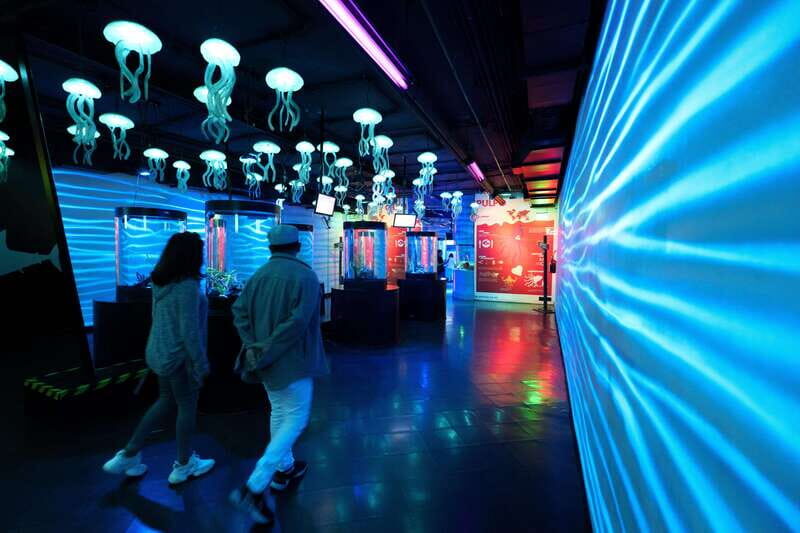 Inbursa Aquarium Entry Ticket with VR Option - The VR Experience: Swim with Sharks from Your Landlocked Location