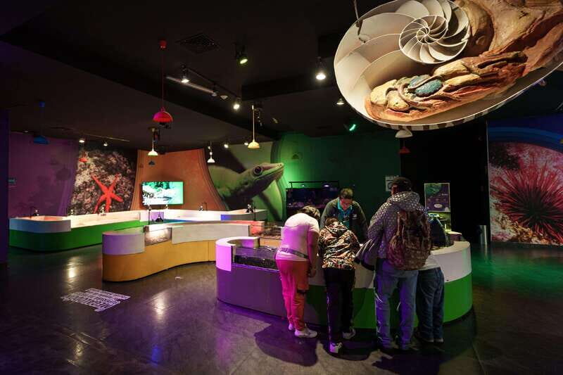 Inbursa Aquarium Entry Ticket with VR Option - The Cost and Value