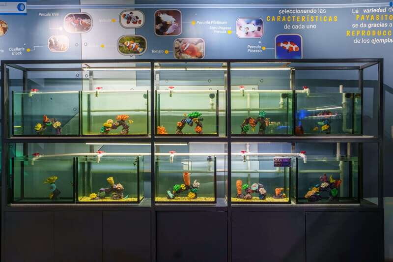 Inbursa Aquarium Entry Ticket with VR Option - Who Will Appreciate This Experience?