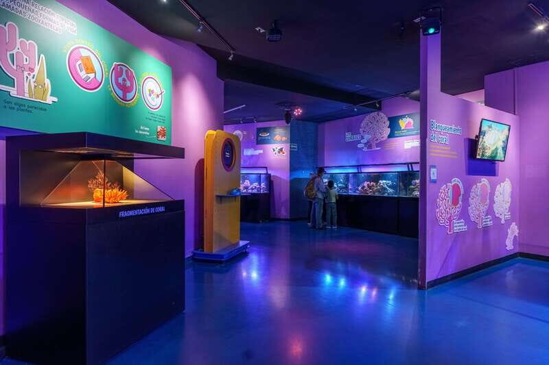 Inbursa Aquarium Entry Ticket with VR Option - Final Thoughts