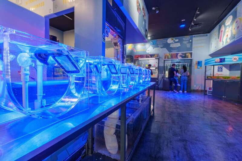 Inbursa Aquarium Entry Ticket with VR Option - FAQ