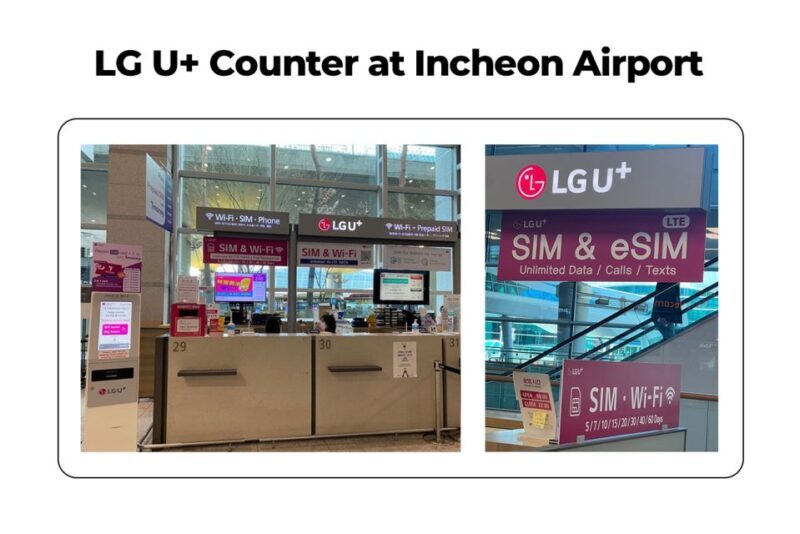 Incheon Airport: Traveler SIM & T-money Transportation Card - Key Points