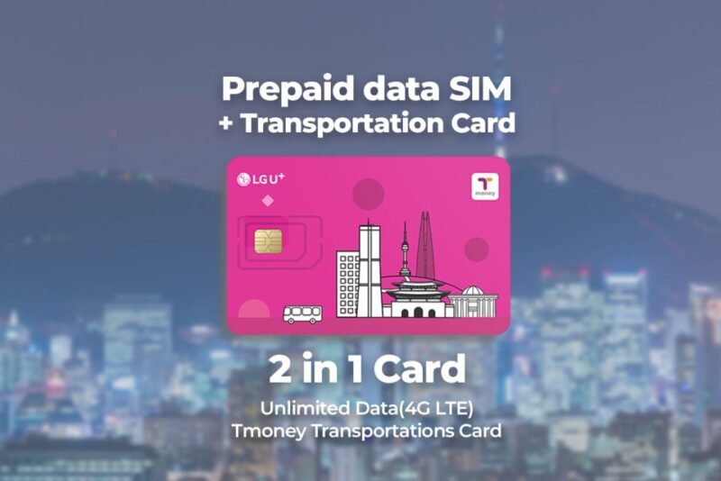Incheon Airport: Traveler SIM & T-money Transportation Card - Overview of the Experience