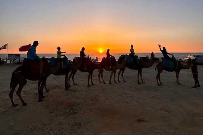 Inclusive Beach Camel Ride, Cap Spartel, Hercules & Full Dinner - FAQ