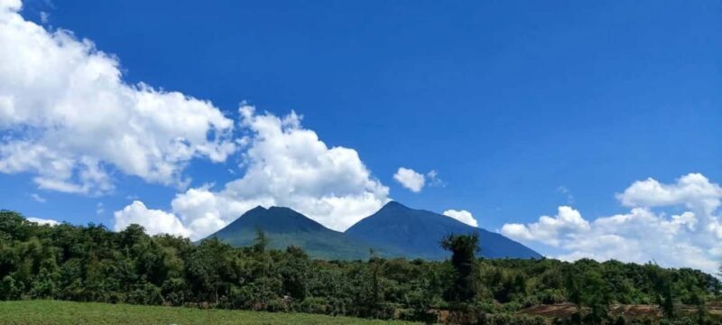 Incredible gorilla Trekking experience in Rwanda - FAQ